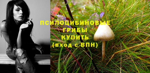 трава Кукмор